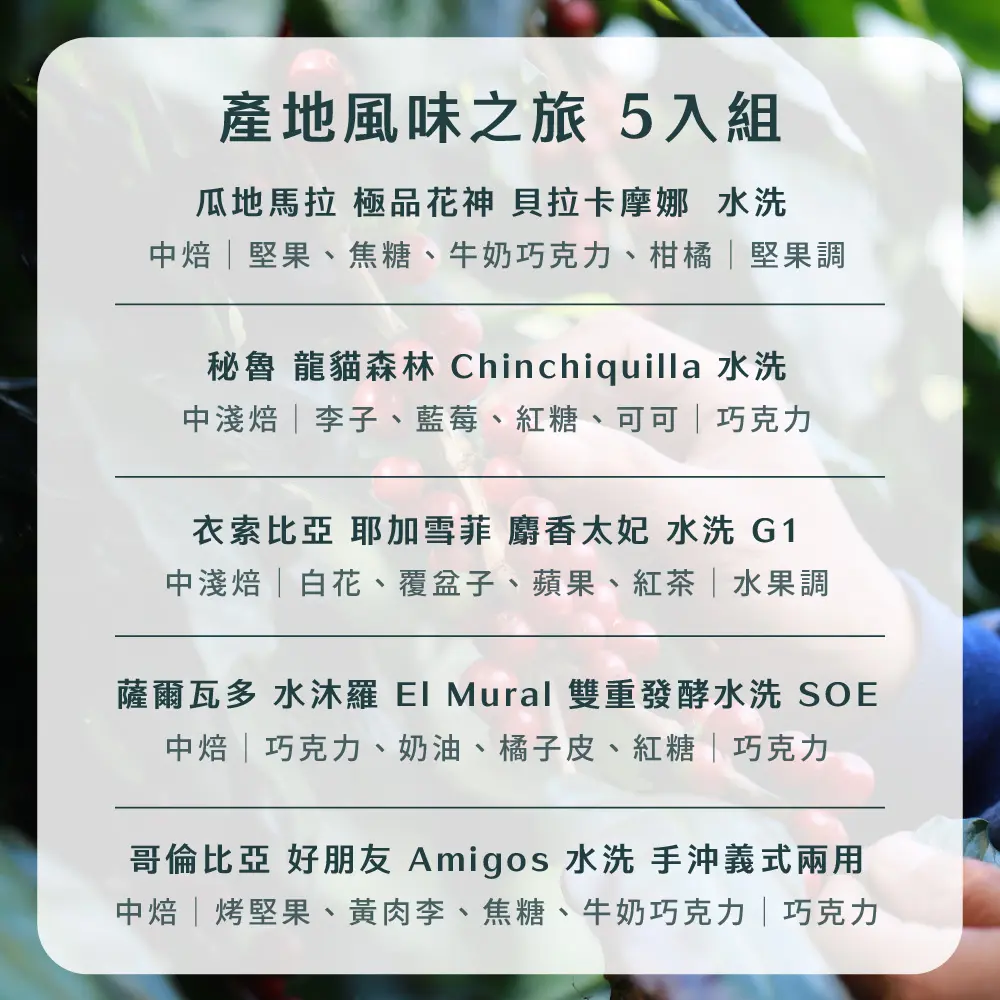 15g濾掛5入組合 散裝 工作區域 1 複本 4 1