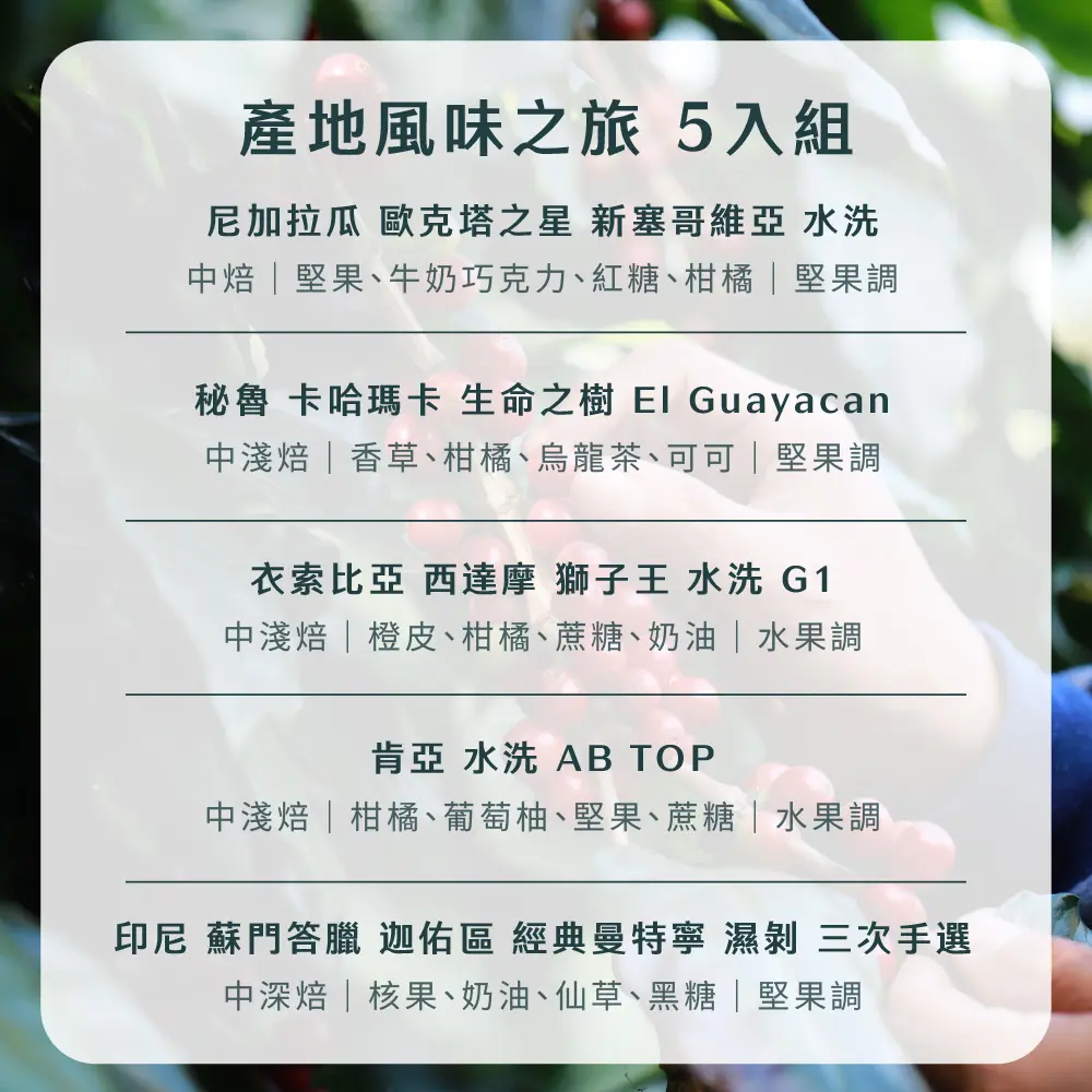 15g濾掛5入組合 散裝 1 1