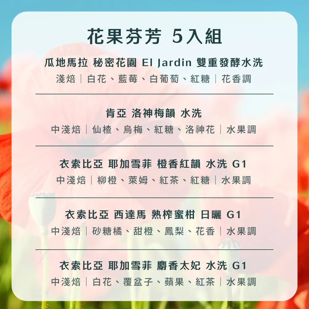 15g濾掛5入組合 散裝 