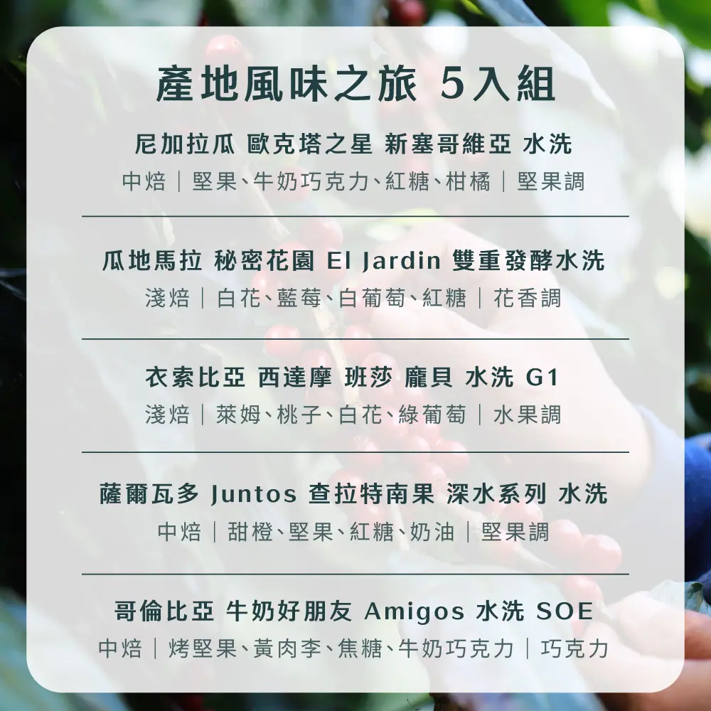 15g濾掛5入組合 散裝 1