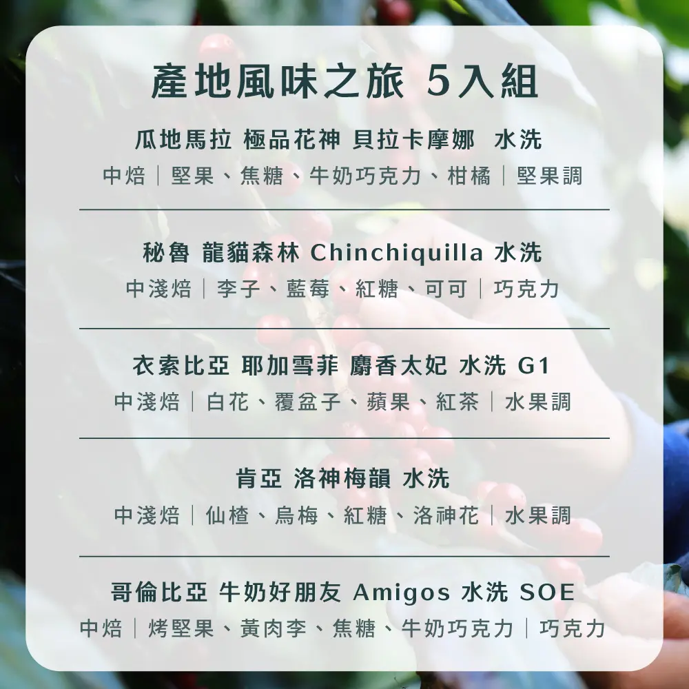 15g濾掛5入組合 散裝 工作區域 1 複本 4 2