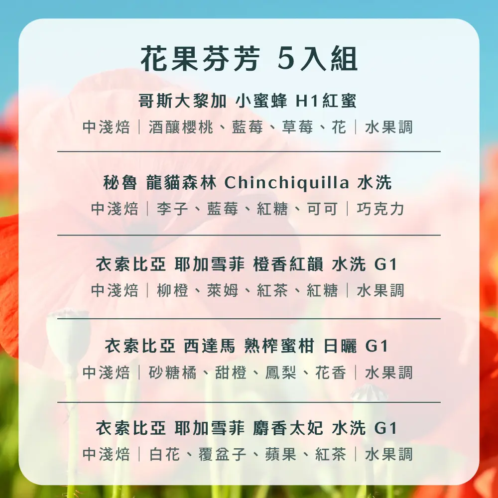 15g濾掛5入組合 散裝 