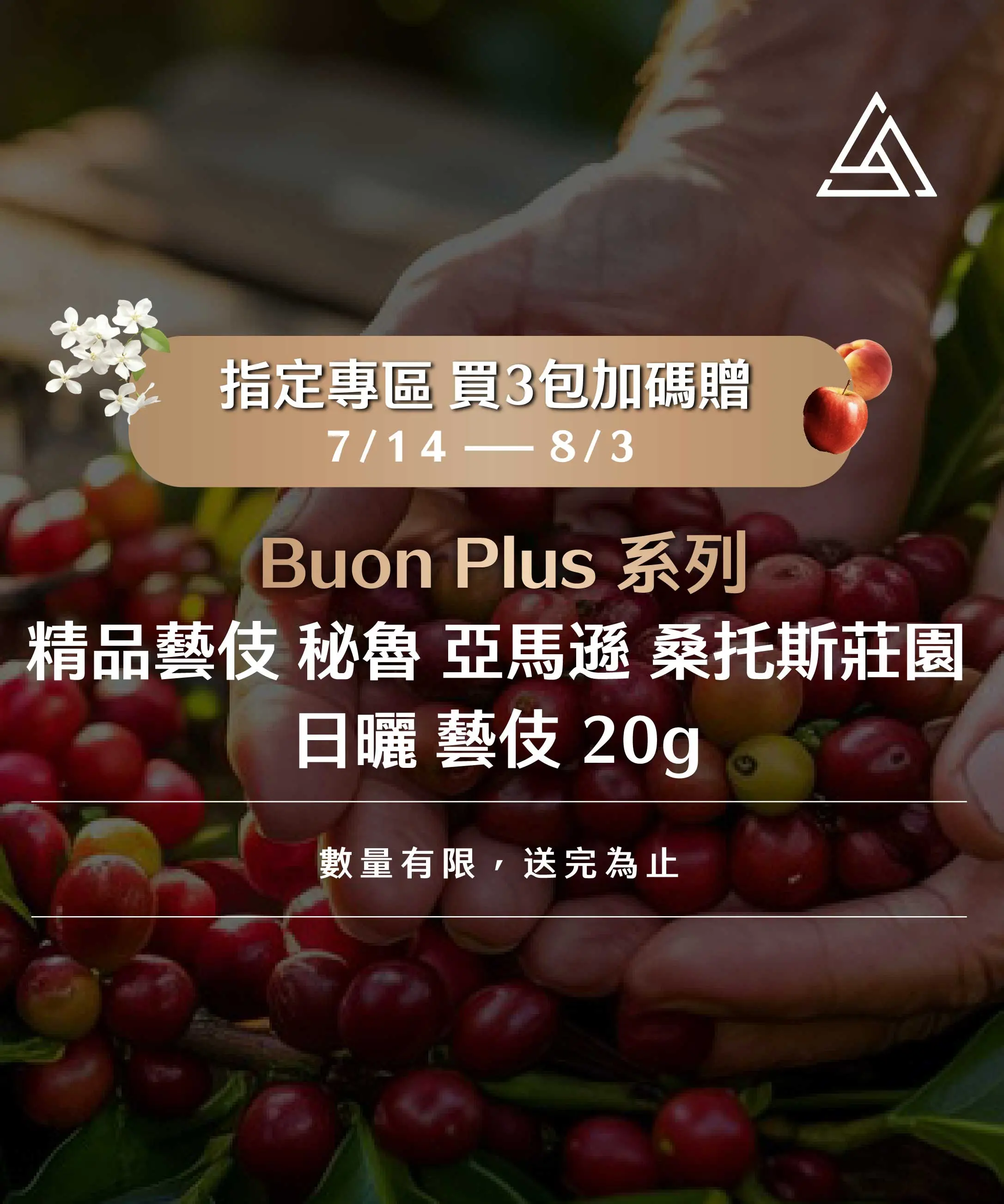Buonplus 任選3包送藝伎 782x938 1