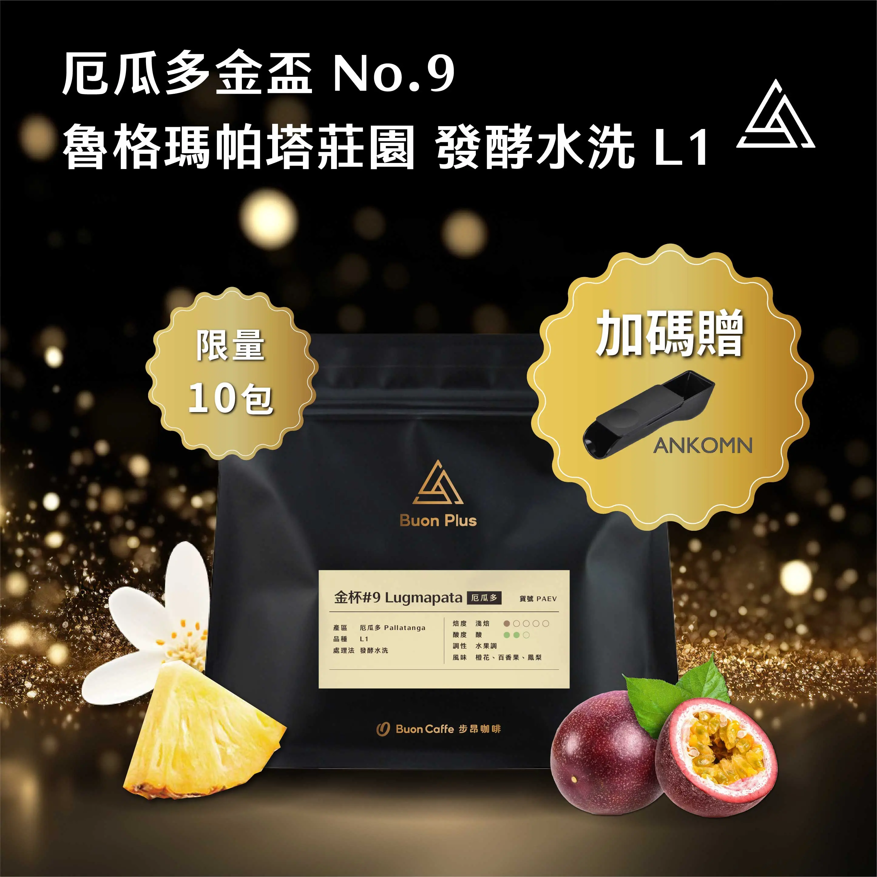 厄瓜多 金盃 No.9