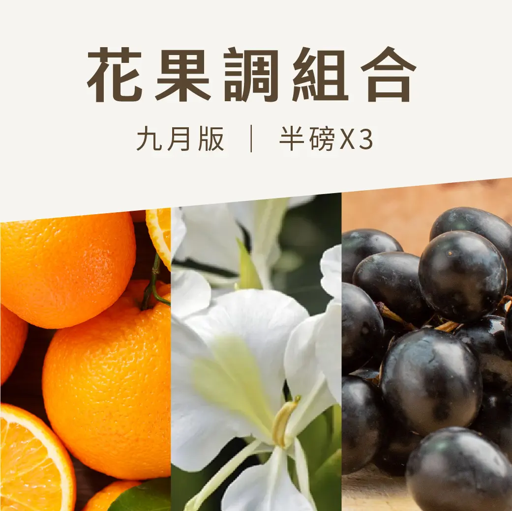 9月商品組合封面 1040 1
