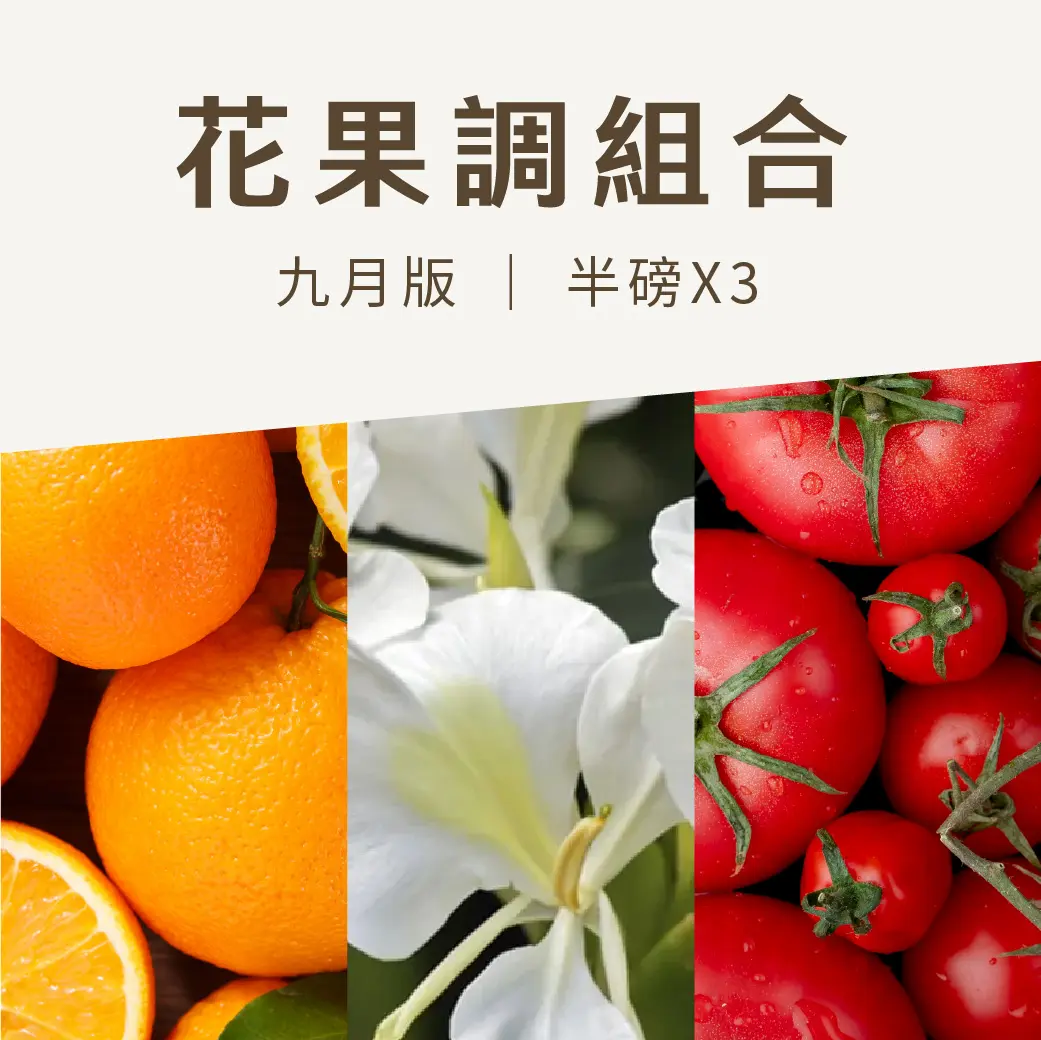 9月商品組合封面 1040