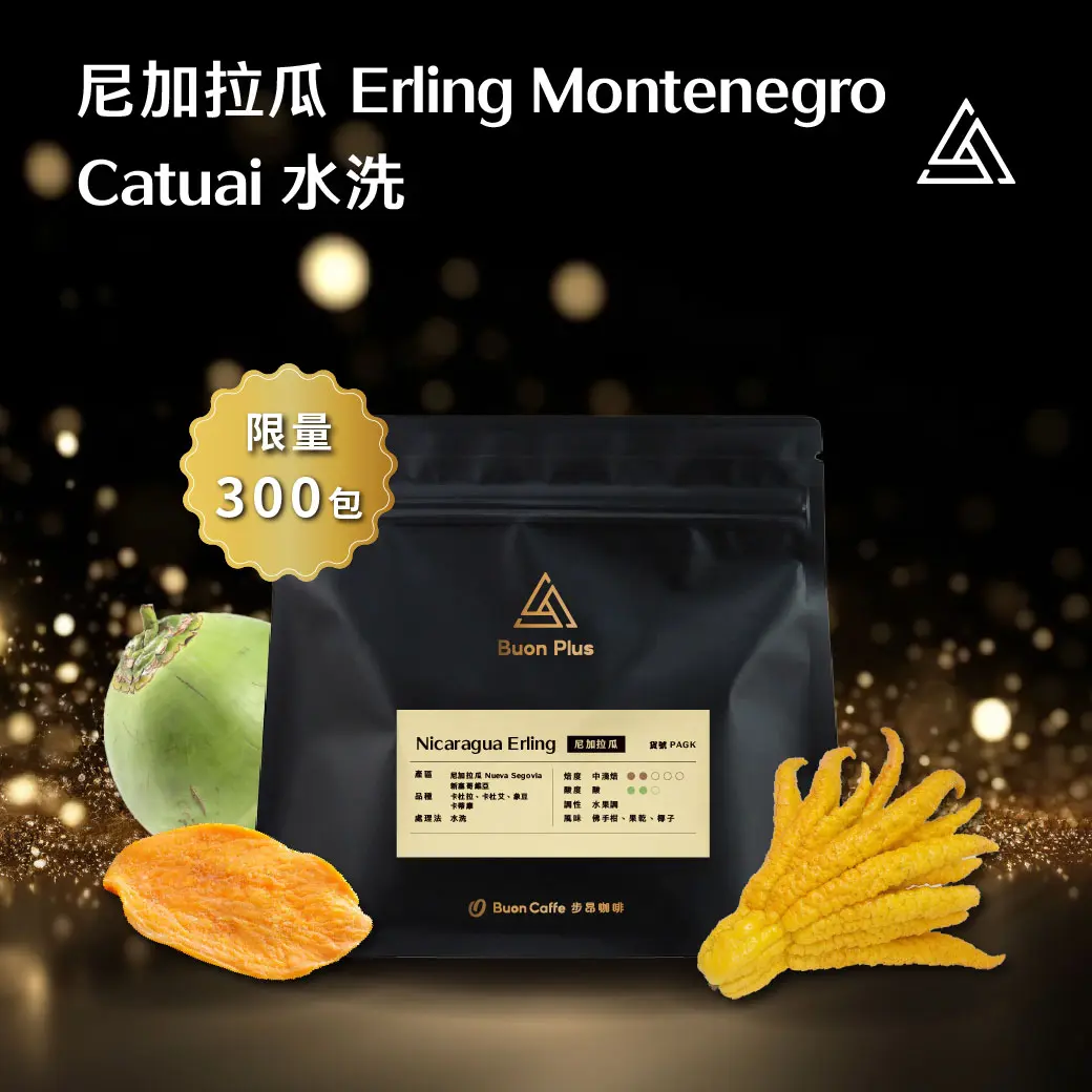 11月buon Plus 封面